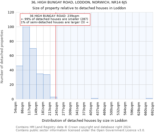 36, HIGH BUNGAY ROAD, LODDON, NORWICH, NR14 6JS: Size of property relative to detached houses in Loddon