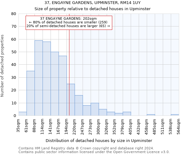 37, ENGAYNE GARDENS, UPMINSTER, RM14 1UY: Size of property relative to detached houses in Upminster