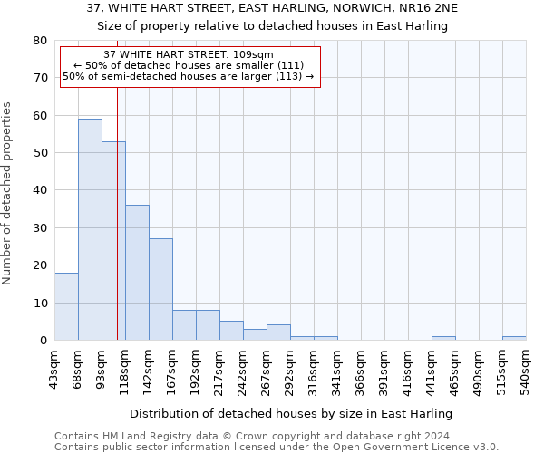 37, WHITE HART STREET, EAST HARLING, NORWICH, NR16 2NE: Size of property relative to detached houses in East Harling