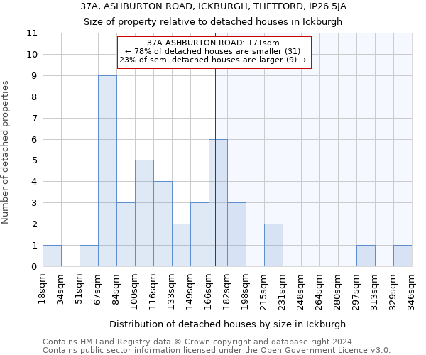 37A, ASHBURTON ROAD, ICKBURGH, THETFORD, IP26 5JA: Size of property relative to detached houses in Ickburgh