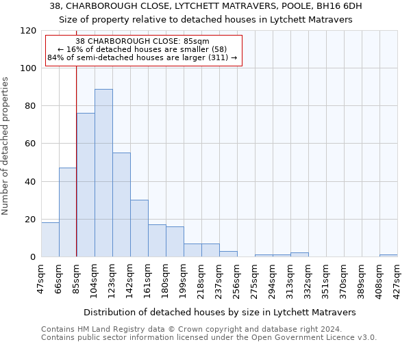 38, CHARBOROUGH CLOSE, LYTCHETT MATRAVERS, POOLE, BH16 6DH: Size of property relative to detached houses in Lytchett Matravers