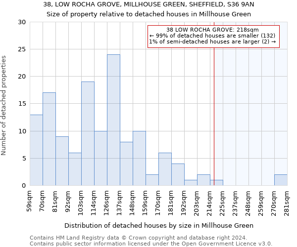 38, LOW ROCHA GROVE, MILLHOUSE GREEN, SHEFFIELD, S36 9AN: Size of property relative to detached houses in Millhouse Green