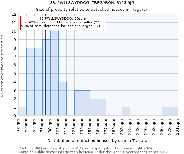 38, PWLLSWYDDOG, TREGARON, SY25 6JG: Size of property relative to detached houses in Tregaron