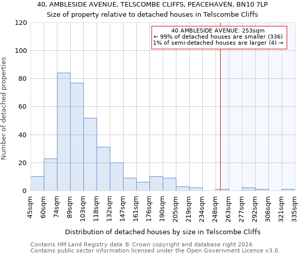 40, AMBLESIDE AVENUE, TELSCOMBE CLIFFS, PEACEHAVEN, BN10 7LP: Size of property relative to detached houses in Telscombe Cliffs