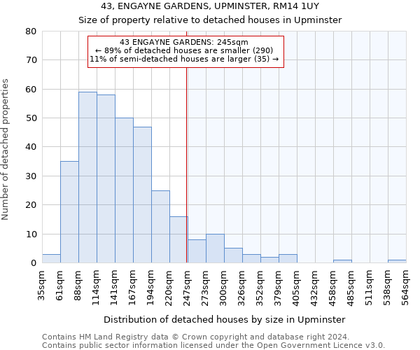 43, ENGAYNE GARDENS, UPMINSTER, RM14 1UY: Size of property relative to detached houses in Upminster