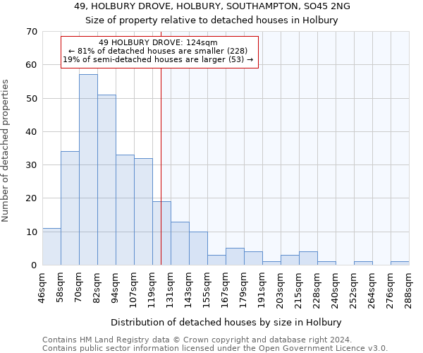 49, HOLBURY DROVE, HOLBURY, SOUTHAMPTON, SO45 2NG: Size of property relative to detached houses in Holbury