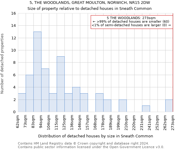 5, THE WOODLANDS, GREAT MOULTON, NORWICH, NR15 2DW: Size of property relative to detached houses in Sneath Common