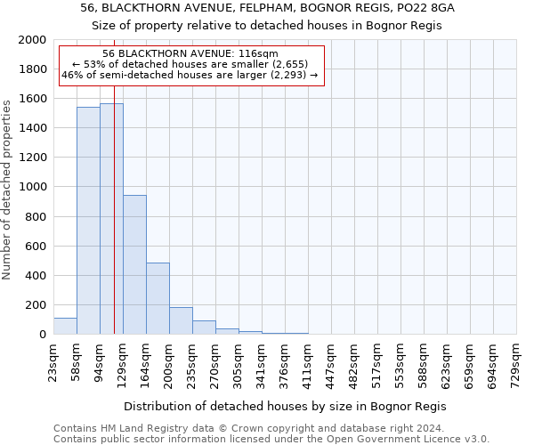 56, BLACKTHORN AVENUE, FELPHAM, BOGNOR REGIS, PO22 8GA: Size of property relative to detached houses in Bognor Regis