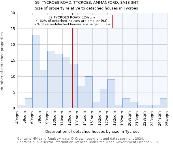 59, TYCROES ROAD, TYCROES, AMMANFORD, SA18 3NT: Size of property relative to detached houses in Tycroes