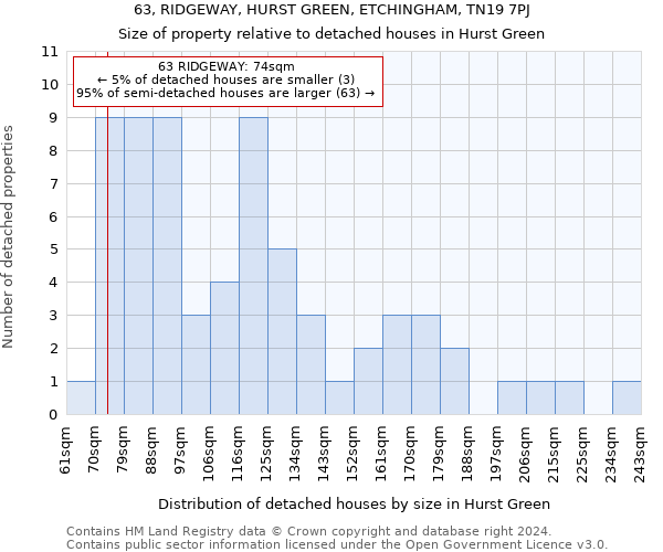 63, RIDGEWAY, HURST GREEN, ETCHINGHAM, TN19 7PJ: Size of property relative to detached houses in Hurst Green