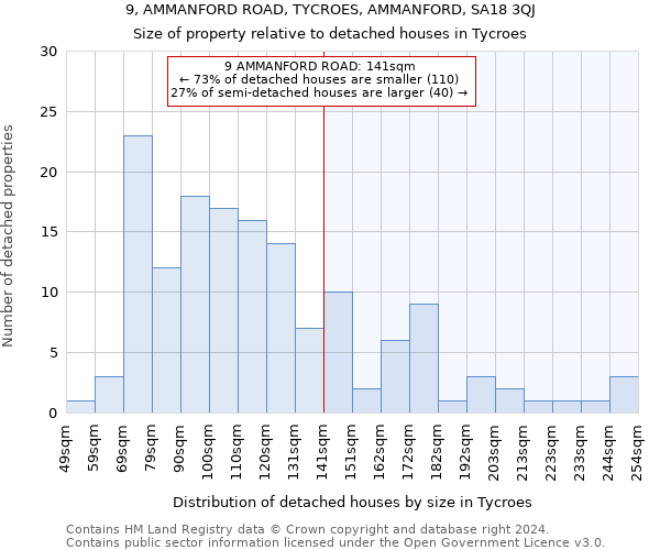 9, AMMANFORD ROAD, TYCROES, AMMANFORD, SA18 3QJ: Size of property relative to detached houses in Tycroes