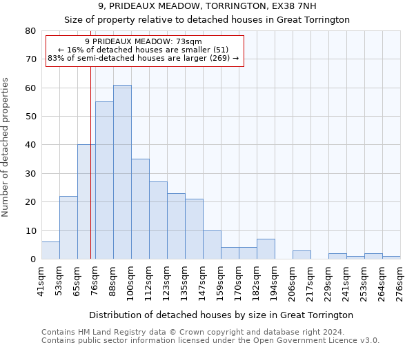 9, PRIDEAUX MEADOW, TORRINGTON, EX38 7NH: Size of property relative to detached houses in Great Torrington