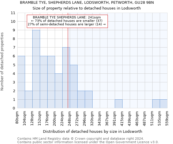 BRAMBLE TYE, SHEPHERDS LANE, LODSWORTH, PETWORTH, GU28 9BN: Size of property relative to detached houses in Lodsworth