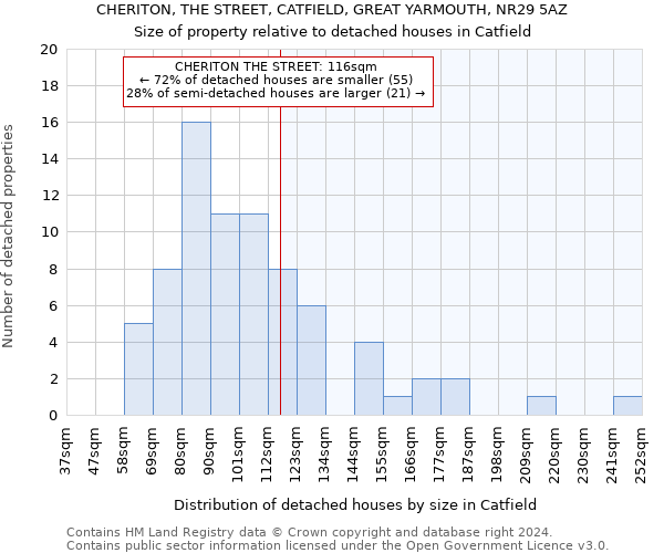 CHERITON, THE STREET, CATFIELD, GREAT YARMOUTH, NR29 5AZ: Size of property relative to detached houses in Catfield