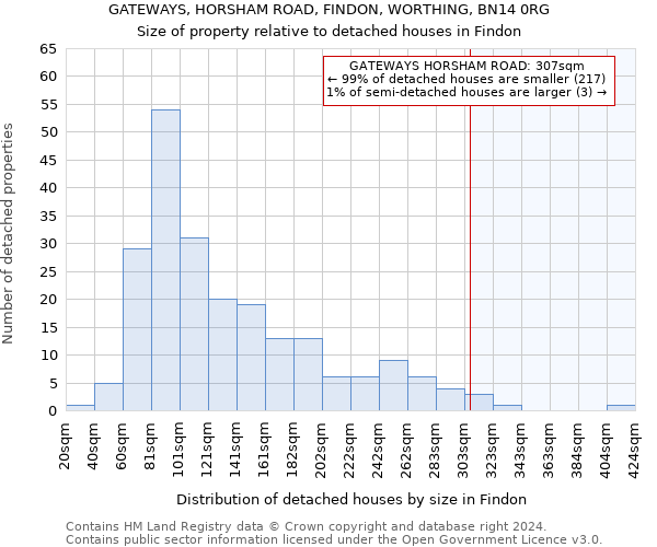 GATEWAYS, HORSHAM ROAD, FINDON, WORTHING, BN14 0RG: Size of property relative to detached houses in Findon