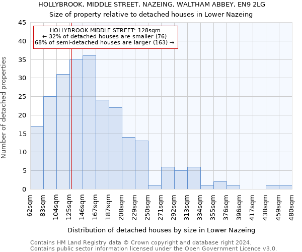 HOLLYBROOK, MIDDLE STREET, NAZEING, WALTHAM ABBEY, EN9 2LG: Size of property relative to detached houses in Lower Nazeing