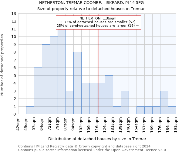 NETHERTON, TREMAR COOMBE, LISKEARD, PL14 5EG: Size of property relative to detached houses in Tremar