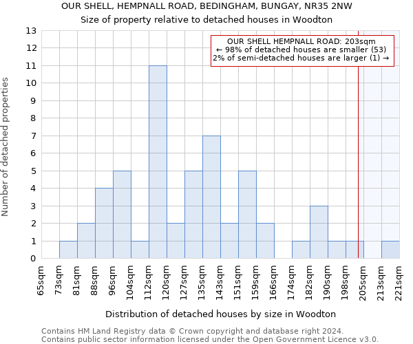 OUR SHELL, HEMPNALL ROAD, BEDINGHAM, BUNGAY, NR35 2NW: Size of property relative to detached houses in Woodton