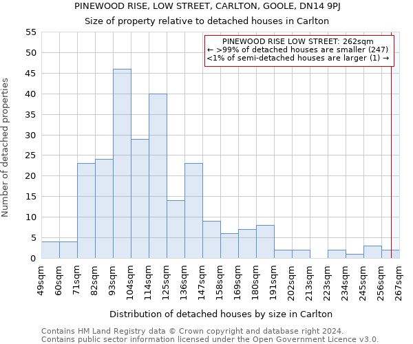 PINEWOOD RISE, LOW STREET, CARLTON, GOOLE, DN14 9PJ: Size of property relative to detached houses in Carlton