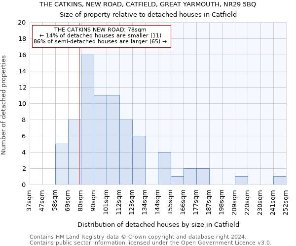 THE CATKINS, NEW ROAD, CATFIELD, GREAT YARMOUTH, NR29 5BQ: Size of property relative to detached houses in Catfield