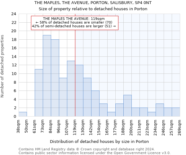 THE MAPLES, THE AVENUE, PORTON, SALISBURY, SP4 0NT: Size of property relative to detached houses in Porton