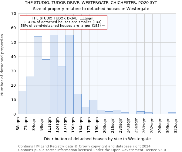 THE STUDIO, TUDOR DRIVE, WESTERGATE, CHICHESTER, PO20 3YT: Size of property relative to detached houses in Westergate