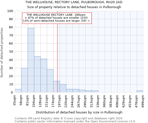 THE WELLHOUSE, RECTORY LANE, PULBOROUGH, RH20 2AD: Size of property relative to detached houses in Pulborough