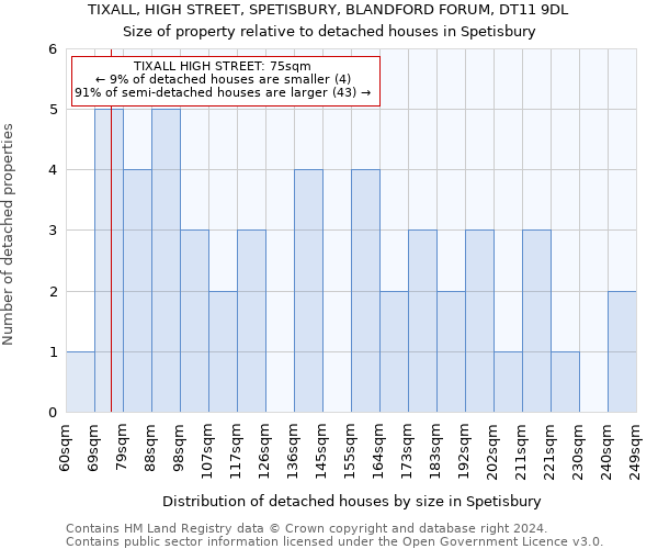 TIXALL, HIGH STREET, SPETISBURY, BLANDFORD FORUM, DT11 9DL: Size of property relative to detached houses in Spetisbury