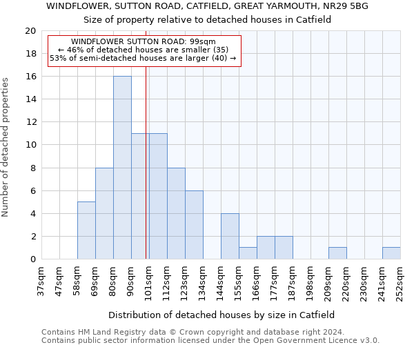 WINDFLOWER, SUTTON ROAD, CATFIELD, GREAT YARMOUTH, NR29 5BG: Size of property relative to detached houses in Catfield