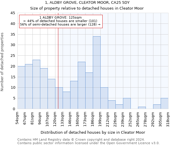 1, ALDBY GROVE, CLEATOR MOOR, CA25 5DY: Size of property relative to detached houses in Cleator Moor