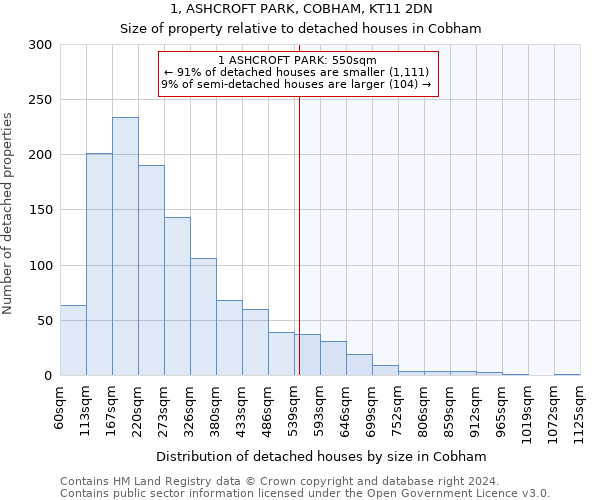 1, ASHCROFT PARK, COBHAM, KT11 2DN: Size of property relative to detached houses in Cobham