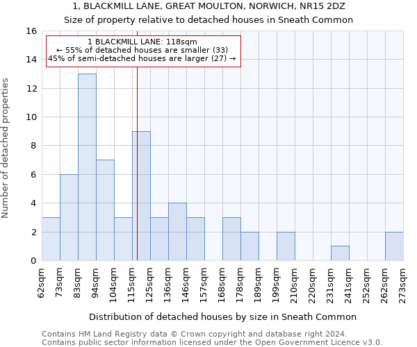 1, BLACKMILL LANE, GREAT MOULTON, NORWICH, NR15 2DZ: Size of property relative to detached houses in Sneath Common