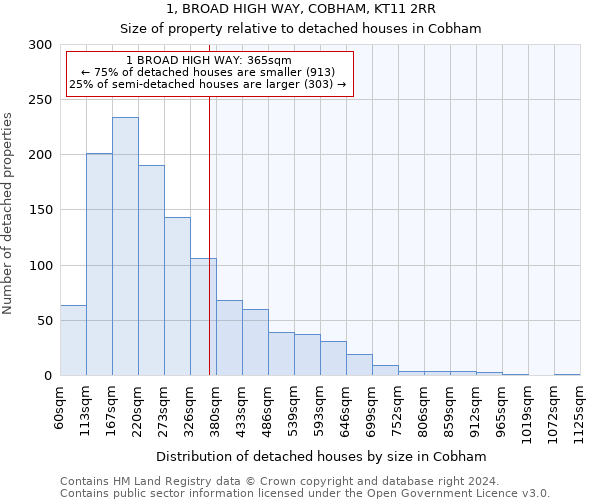 1, BROAD HIGH WAY, COBHAM, KT11 2RR: Size of property relative to detached houses in Cobham