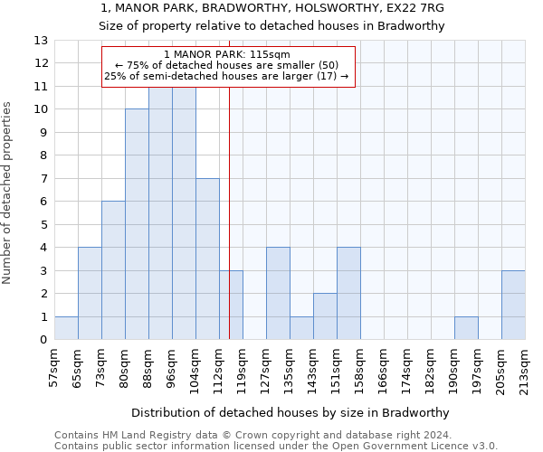 1, MANOR PARK, BRADWORTHY, HOLSWORTHY, EX22 7RG: Size of property relative to detached houses in Bradworthy