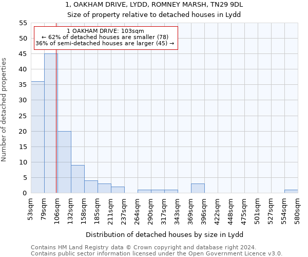 1, OAKHAM DRIVE, LYDD, ROMNEY MARSH, TN29 9DL: Size of property relative to detached houses in Lydd