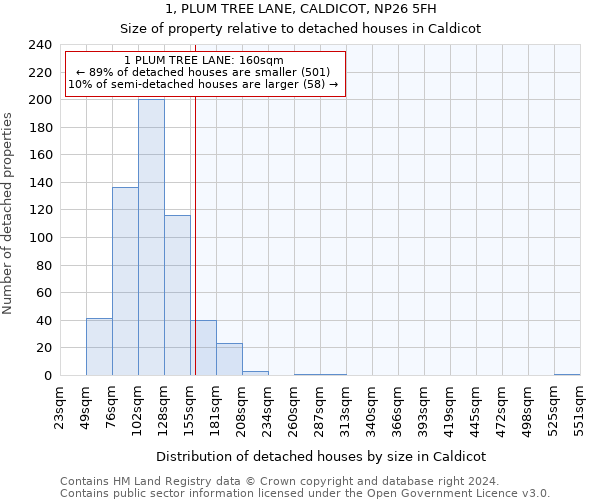 1, PLUM TREE LANE, CALDICOT, NP26 5FH: Size of property relative to detached houses in Caldicot