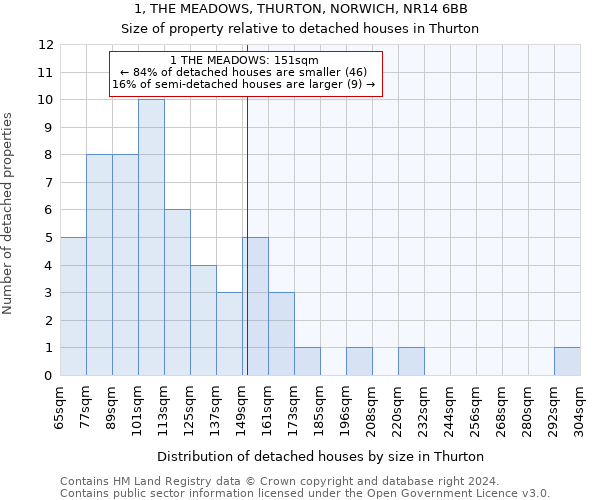 1, THE MEADOWS, THURTON, NORWICH, NR14 6BB: Size of property relative to detached houses in Thurton