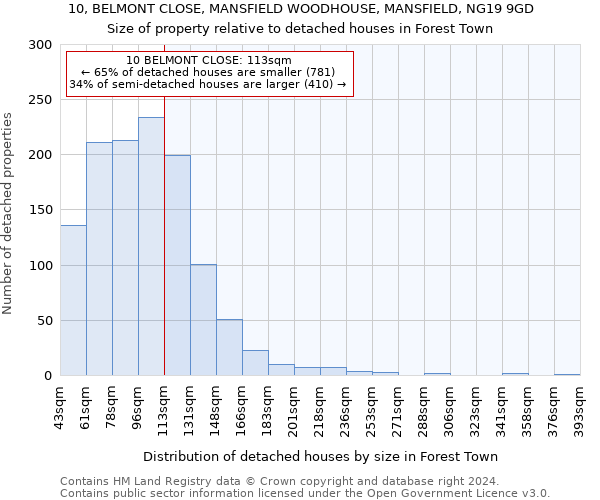 10, BELMONT CLOSE, MANSFIELD WOODHOUSE, MANSFIELD, NG19 9GD: Size of property relative to detached houses in Forest Town