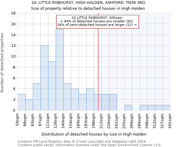 10, LITTLE ROBHURST, HIGH HALDEN, ASHFORD, TN26 3NG: Size of property relative to detached houses in High Halden