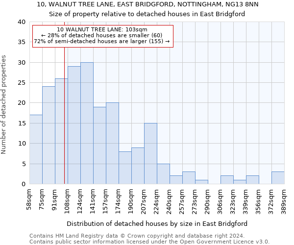 10, WALNUT TREE LANE, EAST BRIDGFORD, NOTTINGHAM, NG13 8NN: Size of property relative to detached houses in East Bridgford