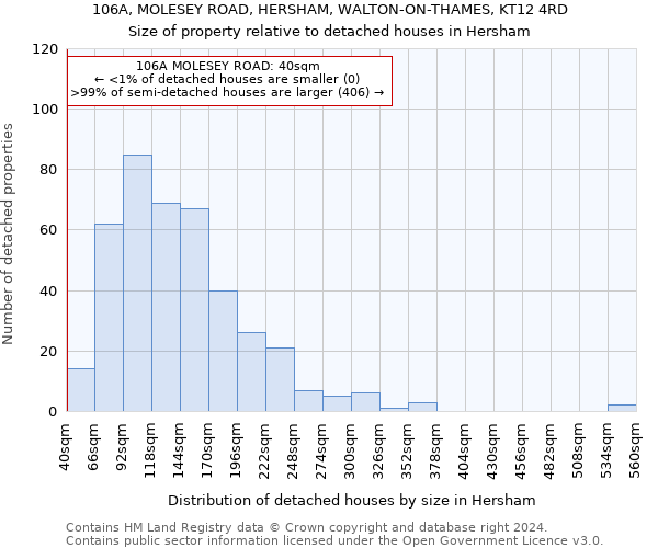 106A, MOLESEY ROAD, HERSHAM, WALTON-ON-THAMES, KT12 4RD: Size of property relative to detached houses in Hersham