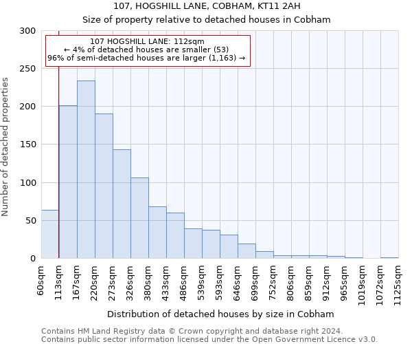 107, HOGSHILL LANE, COBHAM, KT11 2AH: Size of property relative to detached houses in Cobham