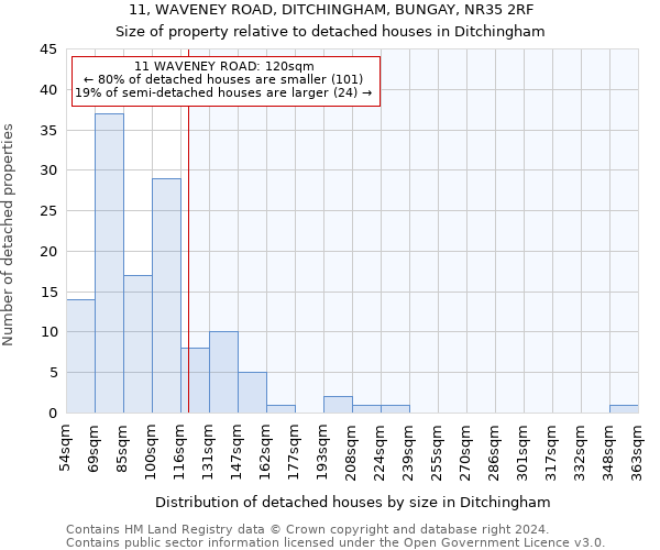 11, WAVENEY ROAD, DITCHINGHAM, BUNGAY, NR35 2RF: Size of property relative to detached houses in Ditchingham