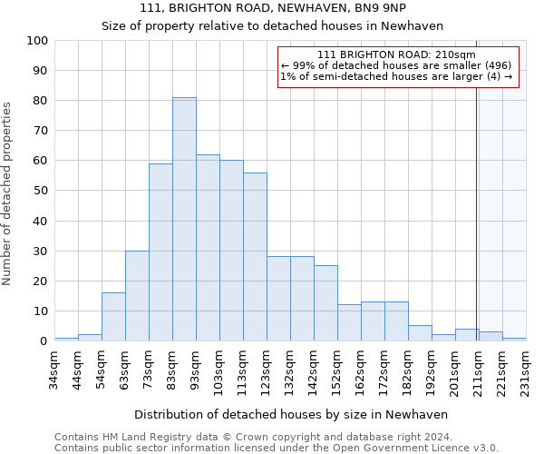 111, BRIGHTON ROAD, NEWHAVEN, BN9 9NP: Size of property relative to detached houses in Newhaven