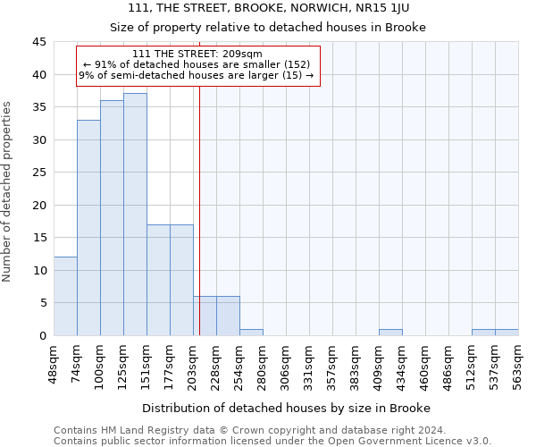 111, THE STREET, BROOKE, NORWICH, NR15 1JU: Size of property relative to detached houses in Brooke