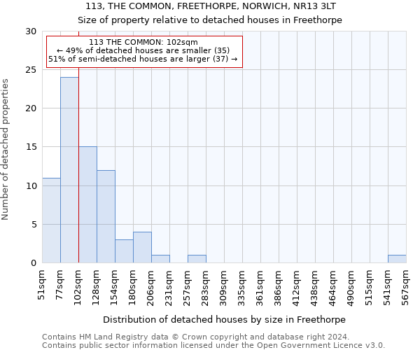 113, THE COMMON, FREETHORPE, NORWICH, NR13 3LT: Size of property relative to detached houses in Freethorpe