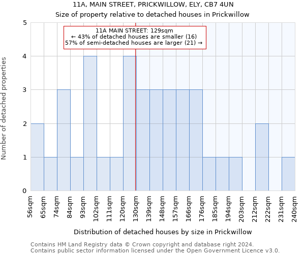 11A, MAIN STREET, PRICKWILLOW, ELY, CB7 4UN: Size of property relative to detached houses in Prickwillow