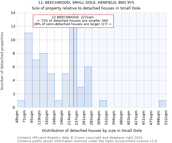 12, BEECHWOOD, SMALL DOLE, HENFIELD, BN5 9YS: Size of property relative to detached houses in Small Dole