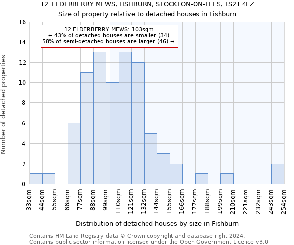 12, ELDERBERRY MEWS, FISHBURN, STOCKTON-ON-TEES, TS21 4EZ: Size of property relative to detached houses in Fishburn