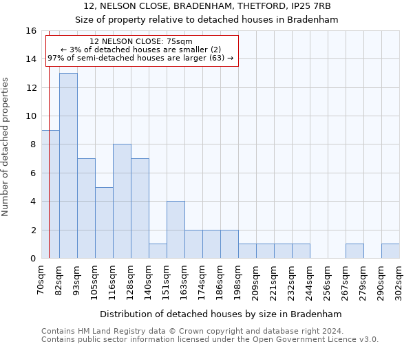 12, NELSON CLOSE, BRADENHAM, THETFORD, IP25 7RB: Size of property relative to detached houses in Bradenham